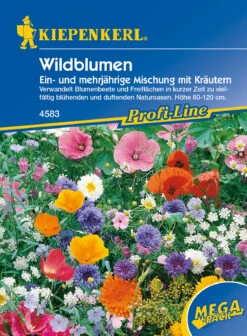 Wildblumen Ein - Und Mehrjährige Mischung Mit Kräutern | Wildblumensamen Von Kiepenkerl -Deutschland Wiesen Pracht Verkaufs-Shop 2916 Wildblumen Ein und mehrjaehrige Mischung mit Kraeutern 4583 0