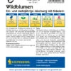 Wildblumen Ein - Und Mehrjährige Mischung Mit Kräutern | Wildblumensamen Von Kiepenkerl 1 Wildblumen Ein - Und Mehrjährige Mischung Mit Kräutern | Wildblumensamen Von Kiepenkerl -Deutschland Wiesen Pracht Verkaufs-Shop 2916 Wildblumen Ein und mehrjaehrige Mischung mit Kraeutern 4583 1