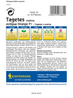 Tagetes Antigua Orange F1 | Studentenblumensamen Von Kiepenkerl -Deutschland Wiesen Pracht Verkaufs-Shop 3528 Tagetes Antigua Orange F1 3862 1