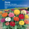 Zinnie Musica | Zinniensamen Von Kiepenkerl -Deutschland Wiesen Pracht Verkaufs-Shop 3562 Zinnie Musica 3929 0