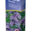Phacelia (0,4 Kg) | Phaceliasamen Von Kiepenkerl