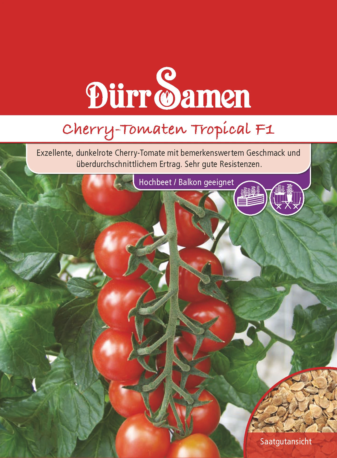 Kirschtomate Tropical F1 | Kirschtomatensamen Von Dürr Samen 3 Kirschtomate Tropical F1 | Kirschtomatensamen Von Dürr Samen