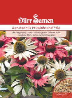 Sonnenhut Primadonna Mix | Sonnenhutsamen Von Dürr Samen -Deutschland Wiesen Pracht Verkaufs-Shop 523342 Sonnenhut Primadonna Mix 4207 ds 0