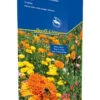 Blütenteppich (40 G) | Blumensamenmischung Von Kiepenkerl [MHD 12/2023] -Deutschland Wiesen Pracht Verkaufs-Shop 528696 Bluetenteppich 40 g 4935 0