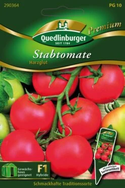 Stabtomaten Harzglut | Stabtomatensamen Von Quedlinburger