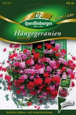 Hängegeranien Mischung | Geraniensamen Von Quedlinburger