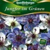 Jungfer Im Grünen Marine Mischung | Jungfer Im Grünen Samen Von Quedlinburger -Deutschland Wiesen Pracht Verkaufs-Shop 532154 Jungfer im Gruenen Marine Mischung von Qued