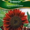 Sonnenblumen Claret | Sonnenblumensamen Von Quedlinburger -Deutschland Wiesen Pracht Verkaufs-Shop 532177 Sonnenblumen Claret von Quedlinburger Saatg