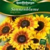Sonnenblumen Ring Of Fire | Sonnenblumensamen Von Quedlinburger 2 Sonnenblumen Ring Of Fire | Sonnenblumensamen Von Quedlinburger -Deutschland Wiesen Pracht Verkaufs-Shop 532178 Sonnenblumen Ring of Fire von Quedlinburger