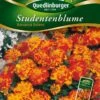 Studentenblumen Bonanza Bolero | Studentenblumensamen Von Quedlinburger -Deutschland Wiesen Pracht Verkaufs-Shop 532193 Studentenblumen Bonanza Bolero von Quedlinb