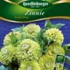 Zinnien Green Envy | Zinniensamen Von Quedlinburger 1 Zinnien Green Envy | Zinniensamen Von Quedlinburger -Deutschland Wiesen Pracht Verkaufs-Shop 532212 Zinnien Green Envy von Quedlinburger Saatgu