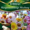 Margeritenblütige Mischung | Margeritensamen Von Quedlinburger 2 Margeritenblütige Mischung | Margeritensamen Von Quedlinburger -Deutschland Wiesen Pracht Verkaufs-Shop 532269 Margeritenbluetige Mischung von Quedlinburg
