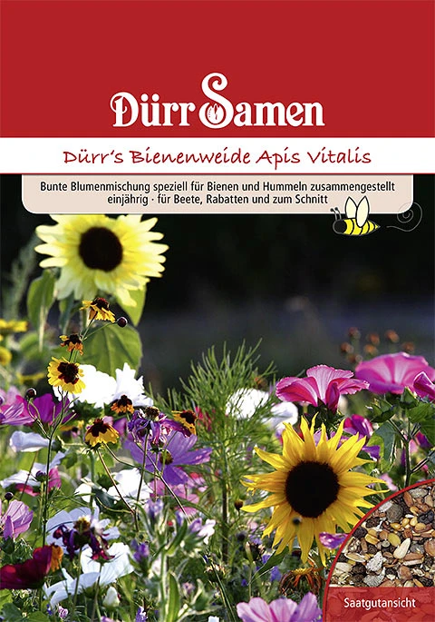 Bienen- Und Hummelweide Apis Vitalis (1 Kg) | Blumensamen Von Dürr Samen 4 Bienen- Und Hummelweide Apis Vitalis (1 Kg) | Blumensamen Von Dürr Samen – Bild 2
