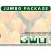 Tulpe Orange (50 Stück) | Tulpenzwiebeln Von Quedlinburger -Deutschland Wiesen Pracht Verkaufs-Shop 533132 Tulpe orange 50 Stueck 308452 qb 1