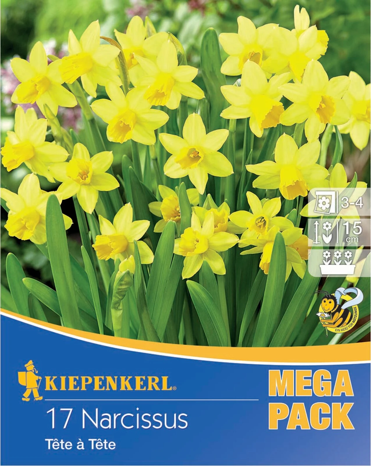 Mega-Pack Steingarten Narzisse Tête à Tête (17 Stück) | Narzissenzwiebeln Von Kiepenkerl 3 Mega-Pack Steingarten Narzisse Tête à Tête (17 Stück) | Narzissenzwiebeln Von Kiepenkerl