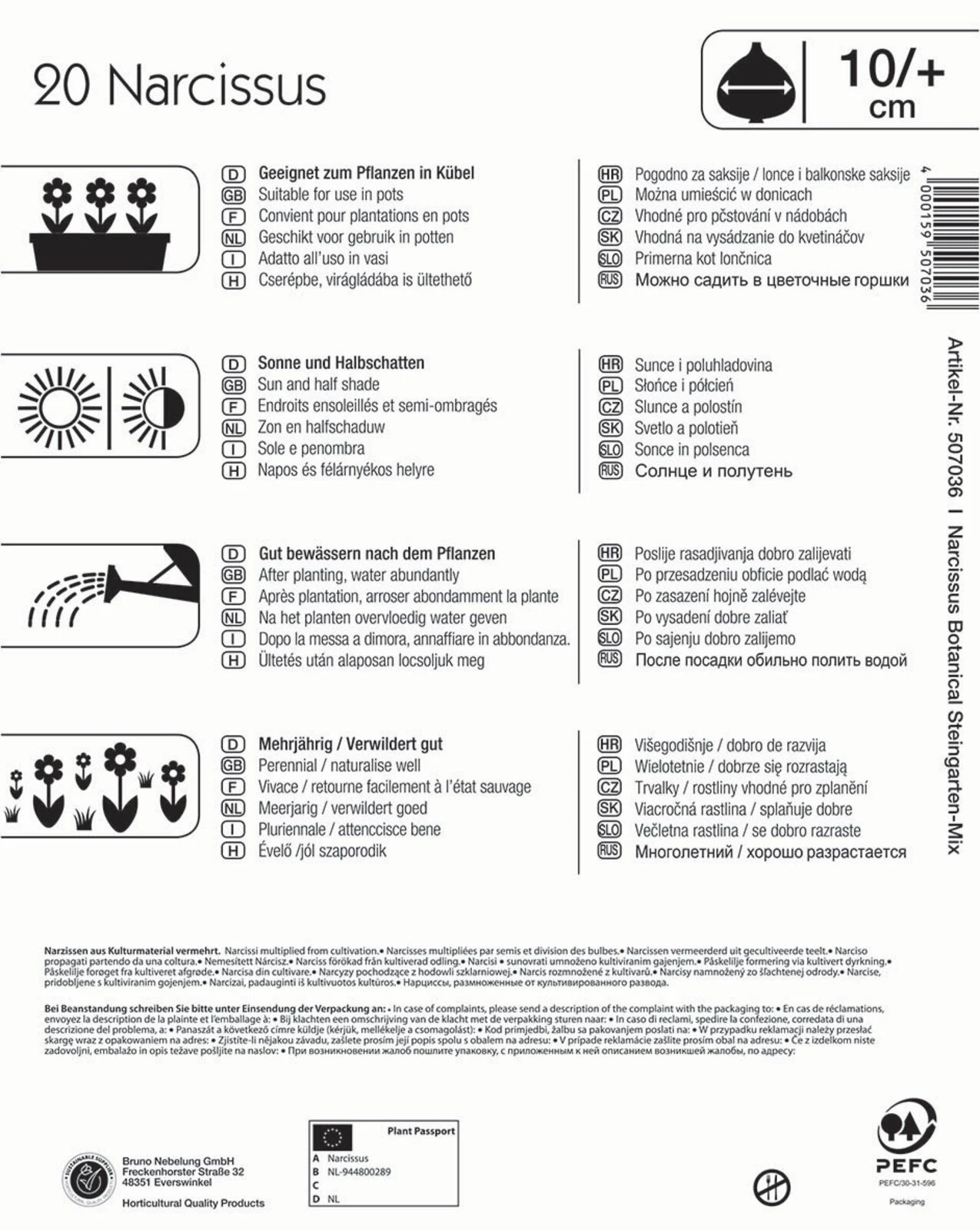Mega-Pack Steingarten Narzissen Mischung (20 Stück) | Narzissenzwiebeln Von Kiepenkerl 4 Mega-Pack Steingarten Narzissen Mischung (20 Stück) | Narzissenzwiebeln Von Kiepenkerl – Bild 2