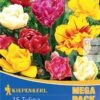 Mega-Pack Gefüllte Tulpen Mischung (15 Stück) | Tulpenzwiebeln Von Kiepenkerl -Deutschland Wiesen Pracht Verkaufs-Shop 533586 Mega Pack Gefuellte Tulpen Mischung 15 Stueck 506930 0