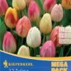 Mega-Pack Triumph-Tulpe Pastell Farbenspiel (17 Stück) | Tulpenzwiebeln Von Kiepenkerl -Deutschland Wiesen Pracht Verkaufs-Shop 533595 Mega Pack Triumph Tulpe Pastell Farbenspiel 17 Stueck 508514 0