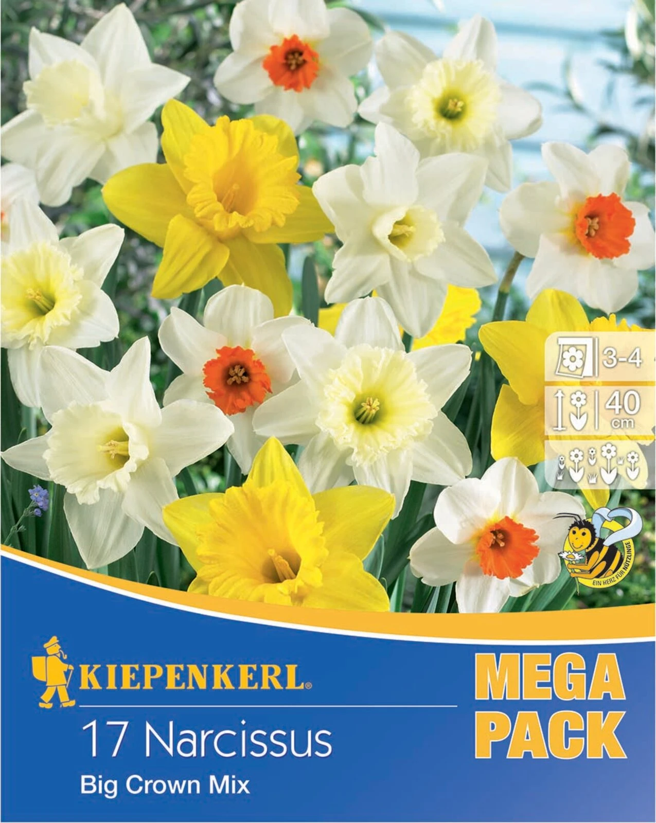 Mega-Pack Narzissen Mischung (17 Stück) | Narzissenzwiebeln Von Kiepenkerl 3 Mega-Pack Narzissen Mischung (17 Stück) | Narzissenzwiebeln Von Kiepenkerl