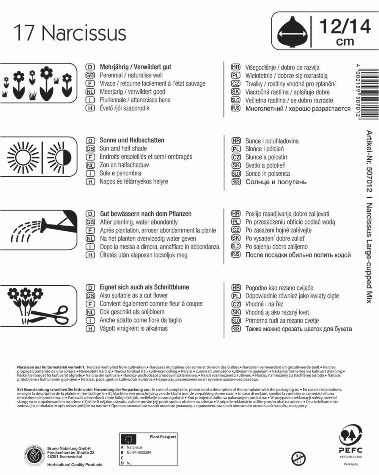 Mega-Pack Narzissen Mischung (17 Stück) | Narzissenzwiebeln Von Kiepenkerl 4 Mega-Pack Narzissen Mischung (17 Stück) | Narzissenzwiebeln Von Kiepenkerl – Bild 2