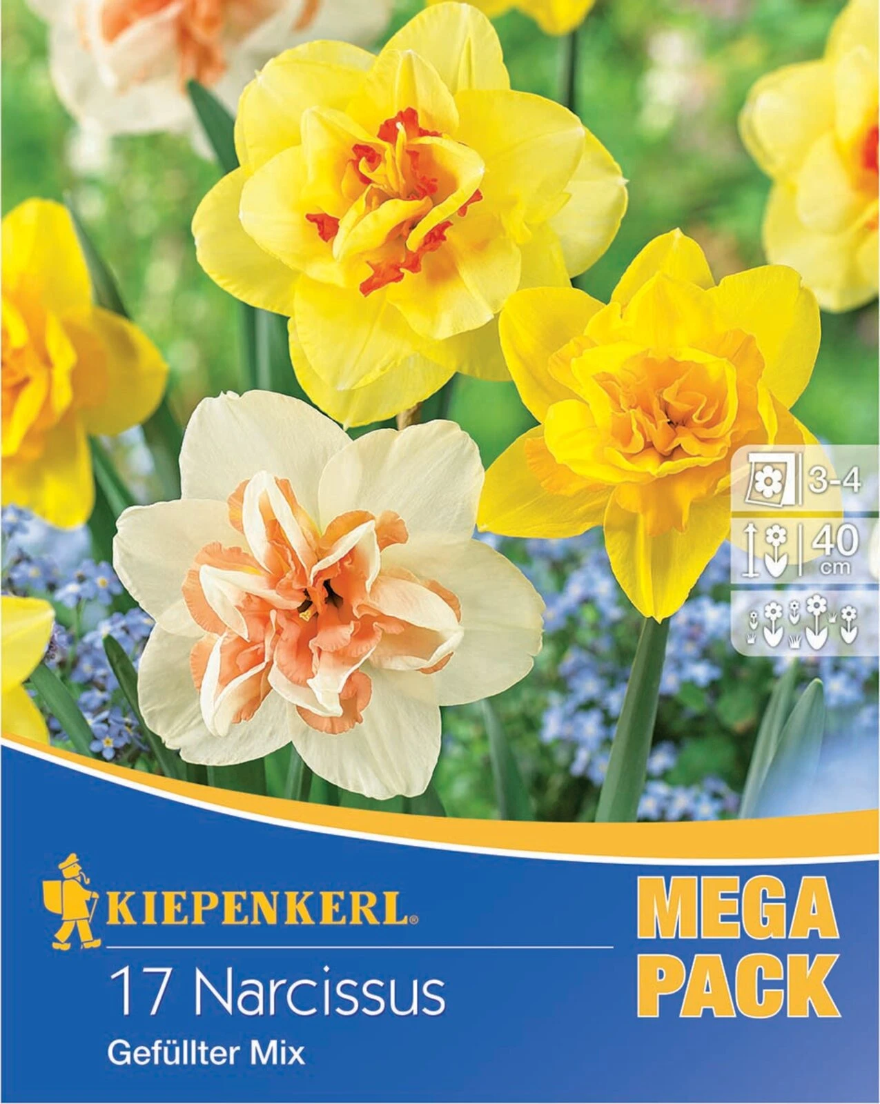 Mega-Pack Narzissen Gefüllte Mischung (17 Stück) | Narzissenzwiebeln Von Kiepenkerl 4 Mega-Pack Narzissen Gefüllte Mischung (17 Stück) | Narzissenzwiebeln Von Kiepenkerl – Bild 2