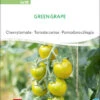 Cherrytomate Green Grape | BIO Kirschtomatensamenvon Sativa Rheinau -Deutschland Wiesen Pracht Verkaufs-Shop 534563 BIO Cherrytomate Green Grape to18 sr 0