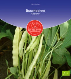 Buschbohne Capitano | BIO Buschbohnensamen Von De Bolster