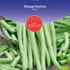 Stangenbohne Cobra | BIO Stangenbohnensamen Von De Bolster -Deutschland Wiesen Pracht Verkaufs-Shop 534897 BIO Stangenbohne Cobra 11172 db 0