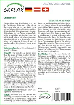 Chinaschilf | Gräsersamen Von Saflax