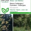Riesen-Federgras (Pyrenäen-Federgras) | Gräsersamen Von Saflax 1 Riesen-Federgras (Pyrenäen-Federgras) | Gräsersamen Von Saflax -Deutschland Wiesen Pracht Verkaufs-Shop 535605 Riesen Federgras Pyrenaeen Federgras 13314 sa 0