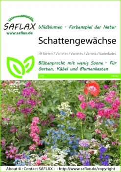Blumenwiese Schattengewächse | Wildblumenwiese Von Saflax