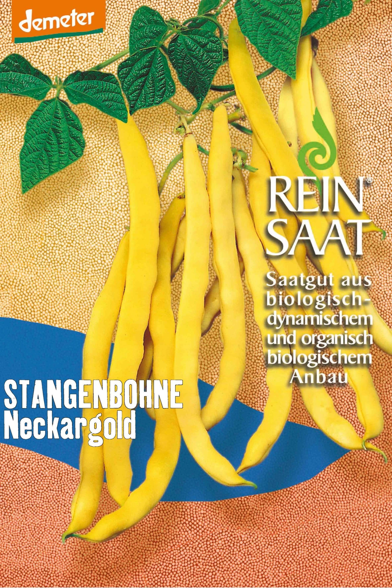 Stangenbohne Neckargold | BIO Stangenbohnensamen Von Reinsaat 3 Stangenbohne Neckargold | BIO Stangenbohnensamen Von Reinsaat