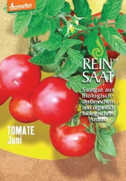 Salattomate Jani | BIO Buschtomatensamen Von Reinsaat