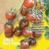 Cocktailtomate Black Cherry | BIO Kirschtomatensamen Von Reinsaat