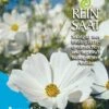 Cosmea Weiß | BIO Cosmeasamen Von Reinsaat -Deutschland Wiesen Pracht Verkaufs-Shop 535931 BIO Cosmea weiss B21 rs 0
