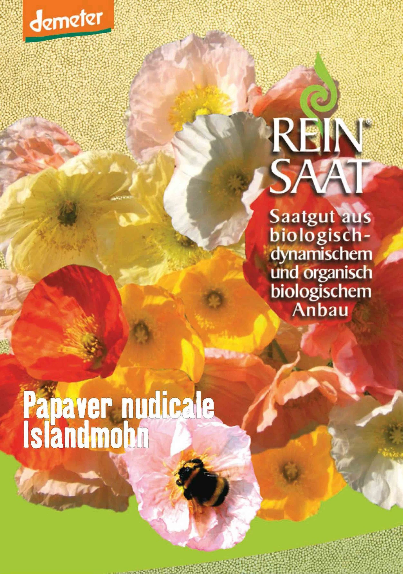 Islandmohn | BIO Mohnsamen Von Reinsaat 3 Islandmohn | BIO Mohnsamen Von Reinsaat