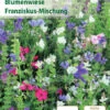 Franziskus Mischung 5 M² | Blumenmischung Von Küpper -Deutschland Wiesen Pracht Verkaufs-Shop 537934 Franziskus Mischung 5 m