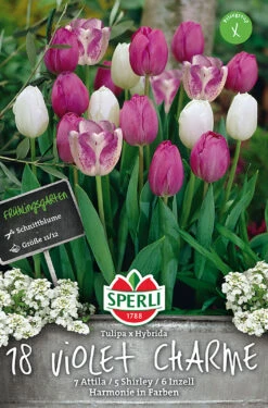 Tulpenmischung Violet Charme (18 Stück) | Tulpenmischung Von Sperli