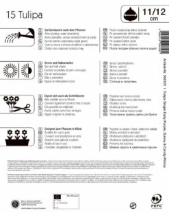 Mega-Pack Einfache Frühe Tulpe Princen Mischung (15 Stück) | Tulpenzwiebeln Von Kiepenkerl -Deutschland Wiesen Pracht Verkaufs-Shop 538135 Mega Pack Einfache fruehe Tulpe Princen Mischung 15 Stueck 508101 1