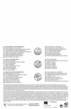 Tulpe Carnaval De Nice & Blue Diamond (10 Stück) | Tulpenzwiebeln Von Pegasus 5 Tulpe Carnaval De Nice & Blue Diamond (10 Stück) | Tulpenzwiebeln Von Pegasus -Deutschland Wiesen Pracht Verkaufs-Shop 538226 Tulpe Carnaval de Nice und Blue Diamond 10 Stueck 599079 1