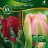 Combipack Tulpenmix &quot;Rote Töne&quot; Rococo &amp; Groenland (5 Stück) | Tulpenzwiebeln Von Quedlinburger -Deutschland Wiesen Pracht Verkaufs-Shop 539685 Combipack Tulpenmix Rote Toene Rococo und Groenland 10 Stueck 309701 qb 0