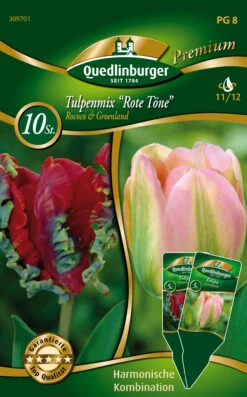 Combipack Tulpenmix &quot;Rote Töne&quot; Rococo &amp; Groenland (5 Stück) | Tulpenzwiebeln Von Quedlinburger
