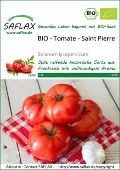 Tomate Saint Pierre | BIO Tomatensamen Von Saflax -Deutschland Wiesen Pracht Verkaufs-Shop 540070 Bio Tomate Saint Pierre 18209 sa 0