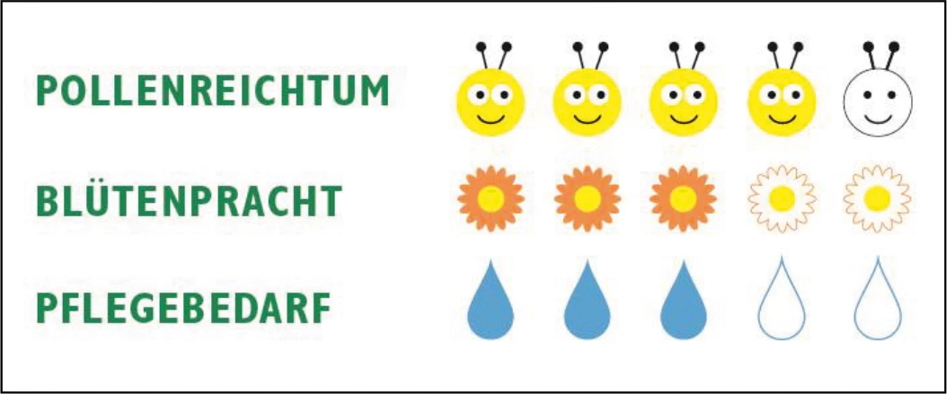 Heimische Bienenweide (100 G) | Bienenwiese Von Samen Pfann 4 Heimische Bienenweide (100 G) | Bienenwiese Von Samen Pfann – Bild 2