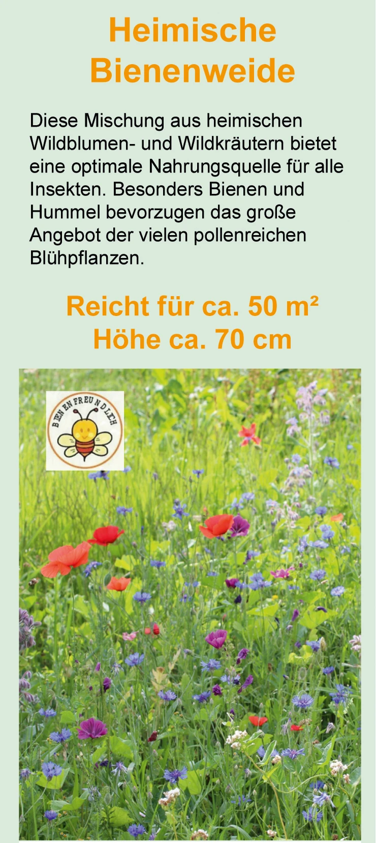 Heimische Bienenweide (100 G) | Bienenwiese Von Samen Pfann 3 Heimische Bienenweide (100 G) | Bienenwiese Von Samen Pfann