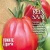 Tomate Liguria | BIO Fleischtomatensamen Von Reinsaat -Deutschland Wiesen Pracht Verkaufs-Shop 540539 BIO Tomate Liguria To38 rs 0