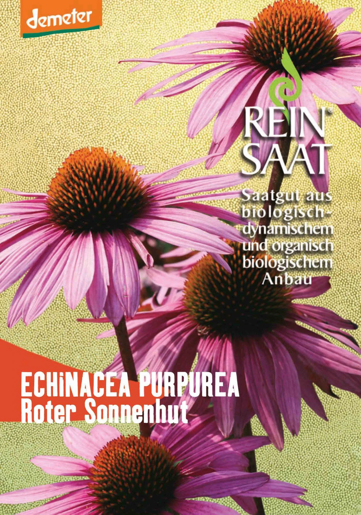Roter Sonnenhut | BIO Sonnenhutsamen Von Reinsaat 3 Roter Sonnenhut | BIO Sonnenhutsamen Von Reinsaat