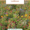 Blumenwiese Feldblumenmischung (100 G) | Blumensamen Von Bertrand 2 Blumenwiese Feldblumenmischung (100 G) | Blumensamen Von Bertrand -Deutschland Wiesen Pracht Verkaufs-Shop 540950 Blumenwiese Landblumen 100 g