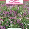 Blumenwiese Mini Teppich Zartes Schimmern (100 G) | Blumensamen Von Bertrand