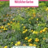 Blumenwiese &quot;Die Essbaren Blumen&quot; (100 G) | Blumensamen Von Bertrand -Deutschland Wiesen Pracht Verkaufs-Shop 540960 Blumenwiese Pfarrgarten 100 g